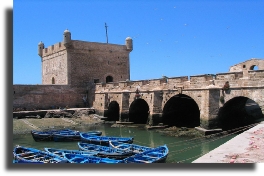 Essaouira excurssion,trip & transfert